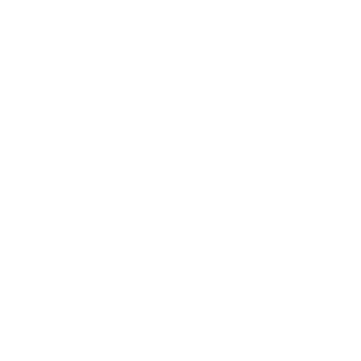 100% original brands 